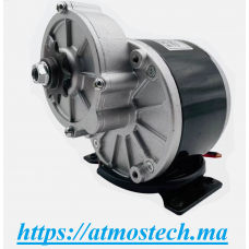 Moteur de réduction brossé 12V24V36V 250W350W MY1016Z2