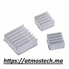 Ensemble de dissipateurs thermiques